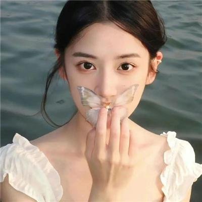 爱情森林